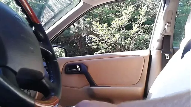 Աղջիկ I կցամասեր առաջին անալ ' 388iii մեծ անդամ P2